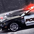 Police hry