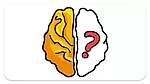 play Brain Out